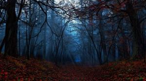 Path through the autumn forest wallpaper thumb