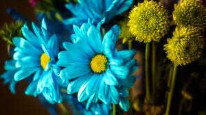 Blue And Yellow Flowers wallpaper thumb
