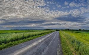 Field, road, sky wallpaper thumb