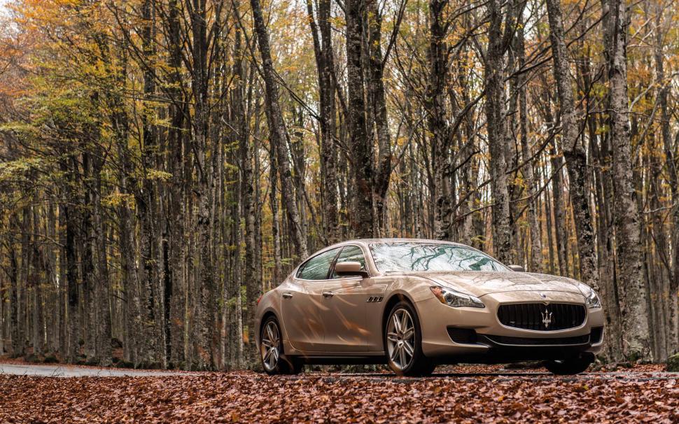 Maserati Ghibli, Car, Forest, Fall, Leaves wallpaper,maserati ghibli HD wallpaper,car HD wallpaper,forest HD wallpaper,fall HD wallpaper,leaves HD wallpaper,2560x1600 wallpaper