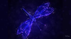 Dragonfly Lights wallpaper thumb