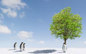 Penguins and Green Tree wallpaper thumb