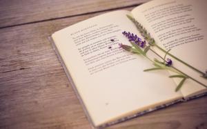 Book Lavender Flower wallpaper thumb