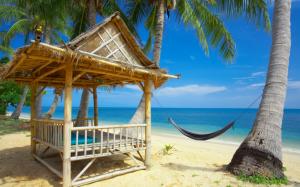 Exotic Beach and Accessories wallpaper thumb