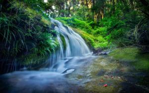 Thailand, forest, leaves, waterfalls, stream, trees wallpaper thumb