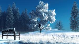 Art photography, winter, snow, trees, bench wallpaper thumb