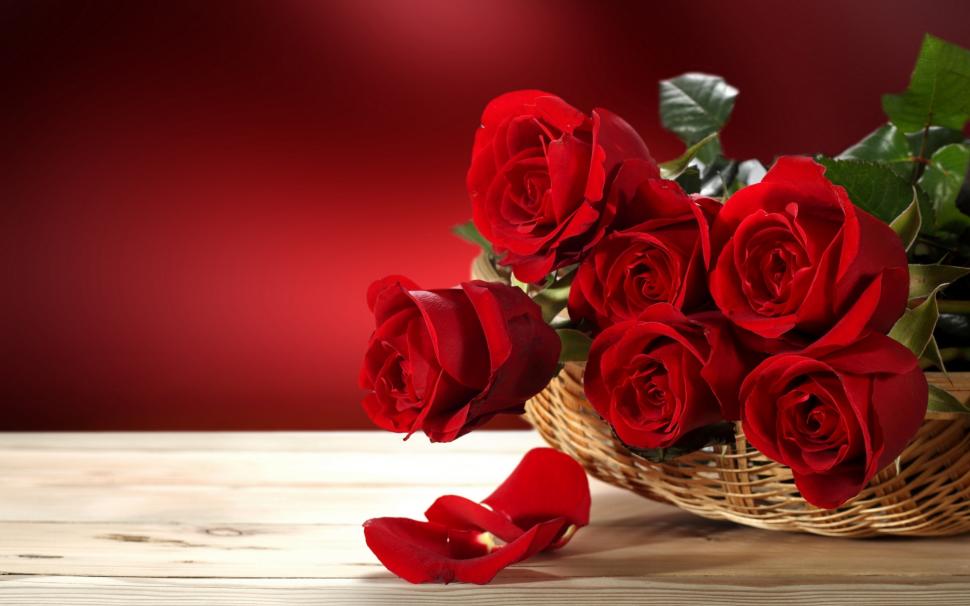 Fresh Red Roses wallpaper,roses HD wallpaper,red roses HD wallpaper,2880x1800 wallpaper