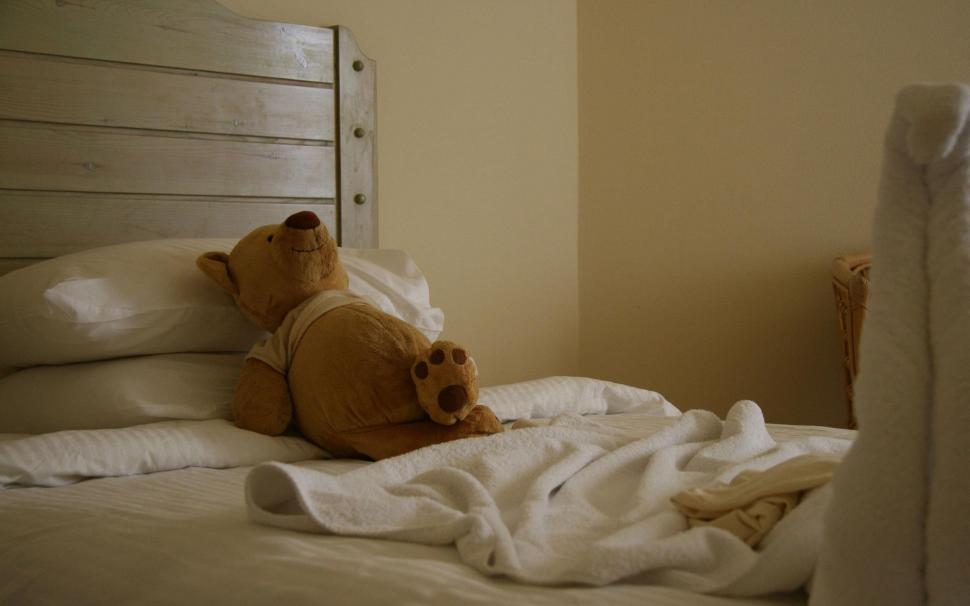 Stuffed bear resting on the bed wallpaper,photography HD wallpaper,2560x1600 HD wallpaper,teddy bear HD wallpaper,pillow HD wallpaper,rest HD wallpaper,2560x1600 wallpaper