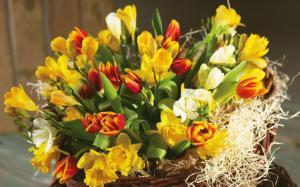 Tulips in a bouquet wallpaper thumb