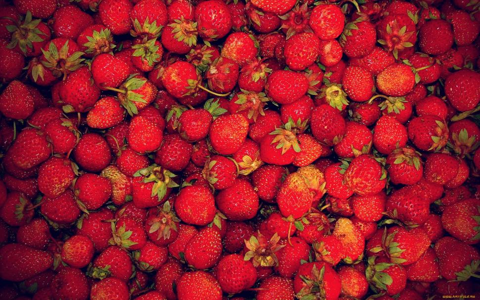 1920×1200 Strawberry High Definition Nature s wallpaper,1920x1200 HD wallpaper,fruit HD wallpaper,nature HD wallpaper,red HD wallpaper,strawberry HD wallpaper,strawberry wallpaper HD wallpaper,1920x1200 wallpaper