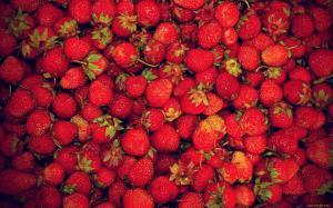 1920×1200 Strawberry High Definition Nature s wallpaper thumb