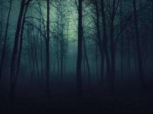Dark Forest, Forest, Forest Clearing, Nature wallpaper thumb