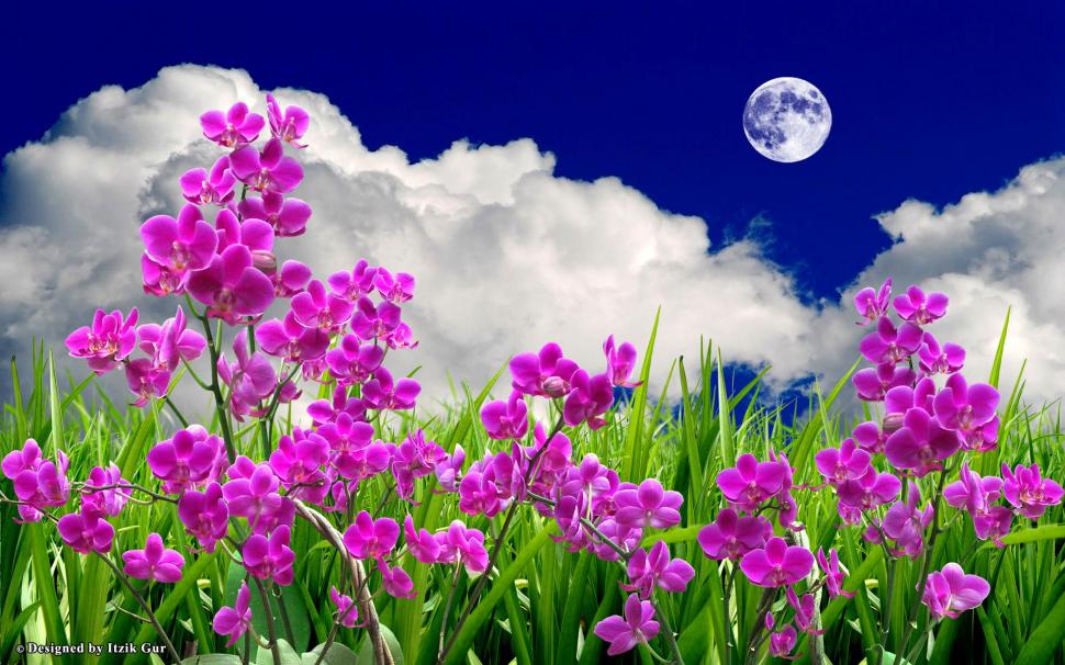 Flowers Field In The Moon wallpaper,colourful HD wallpaper,field HD wallpaper,moon HD wallpaper,flowers HD wallpaper,3d & abstract HD wallpaper,1920x1200 wallpaper