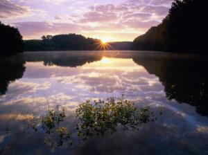 Nature, Landscape, Clouds, Scenic, Sun, Water, Lake, Reflection, Flowers, Forest, Trees, Photography wallpaper thumb