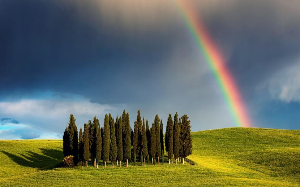 Rainbow in Tuscany wallpaper,ainbow  HD wallpaper,tuscany  HD wallpaper,trees HD wallpaper,Landscape HD wallpaper,gorgeous HD wallpaper,2880x1800 wallpaper