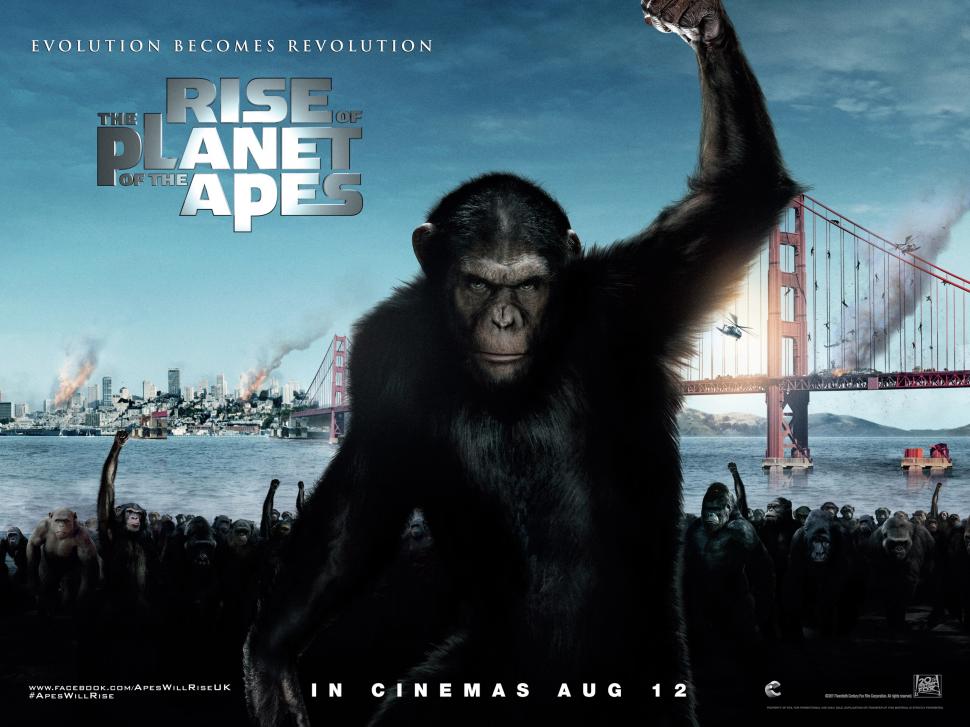 2011 Rise of the Planet of the Apes wallpaper,2011 HD wallpaper,Rise HD wallpaper,Planet HD wallpaper,Apes HD wallpaper,2560x1920 wallpaper
