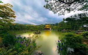 Golden Pavilion temple, Kyoto, Japan, lake, trees, flowers, park wallpaper thumb