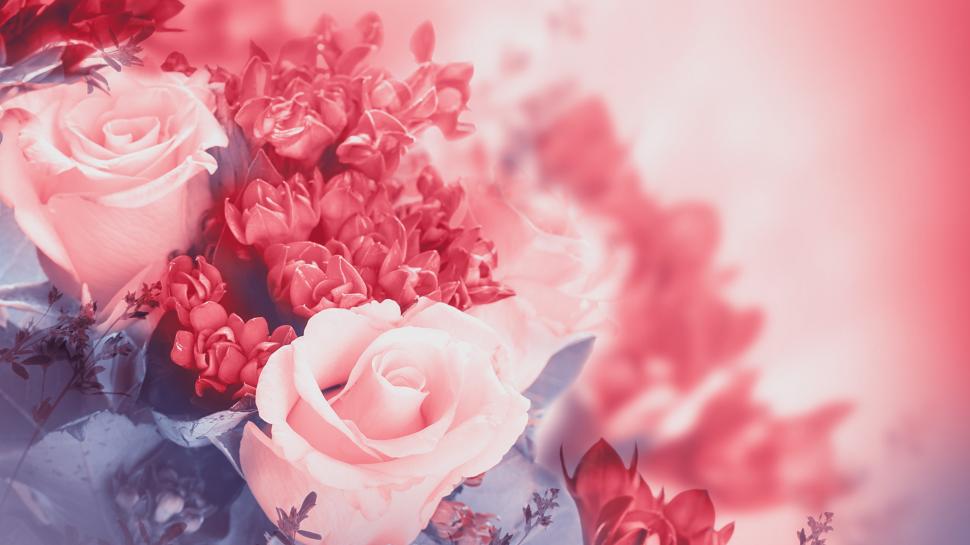 Pink flowers, rose, petals, buds wallpaper,Pink HD wallpaper,Flowers HD wallpaper,Rose HD wallpaper,Petals HD wallpaper,Buds HD wallpaper,3840x2160 wallpaper
