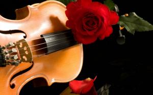 Rose On Violin wallpaper thumb