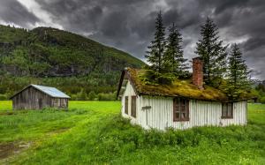 Hemsedal, Norway, house, moss, trees, grass, mountain, clouds wallpaper thumb