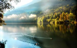 Mountains, forest, mist, lake, ducks, morning wallpaper thumb