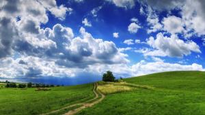 Nature, Landscape, Field, Grass, Clouds, Trees, Path, Straw, Hill, Summer wallpaper thumb