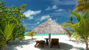 Tropical beach, sand, palm trees, sea, vacation, summer wallpaper thumb