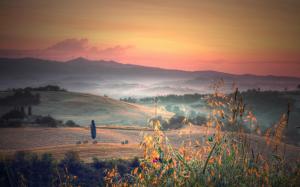 Italy, Tuscany, hills, trees, fields, grass, morning, fog wallpaper thumb