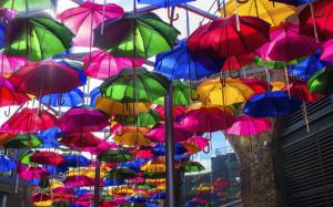 Opened Colorful Umbrellas wallpaper thumb