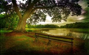 Nature landscape, autumn, trees, forest, lake, benches wallpaper thumb