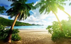 Beach landscape, island, sea, palm trees, sky, clouds wallpaper thumb