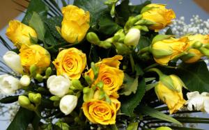 Joy Yellow Rose Bouquet wallpaper thumb