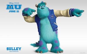 Sulley in Monsters University wallpaper thumb