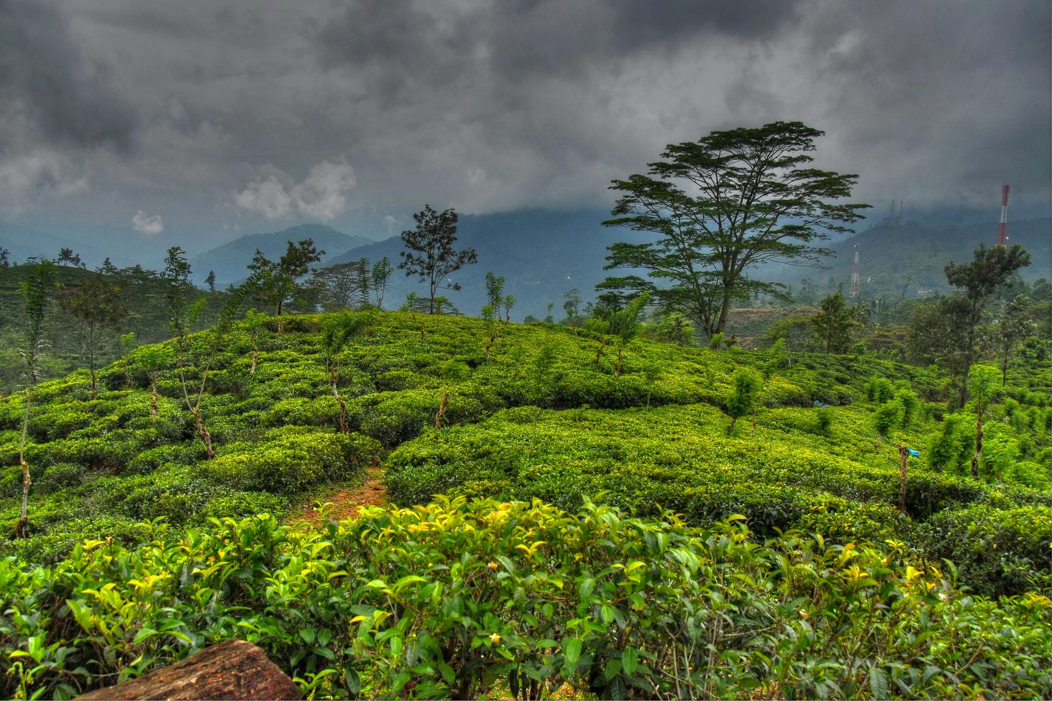 Tropics Scenery Sky Sri Lanka Nature wallpaper | nature and landscape