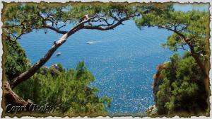 Nature In Isl Of Capri (italy) wallpaper thumb