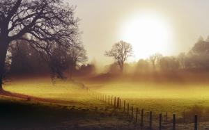 Morning, fields, fence, fog wallpaper thumb