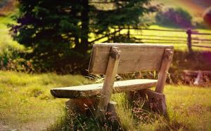Green bench in nature wallpaper thumb