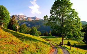 Switzerland, summer landscape, mountains, road, trees wallpaper thumb