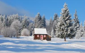Wonderful Red Trimmed Cabin In Winter wallpaper thumb