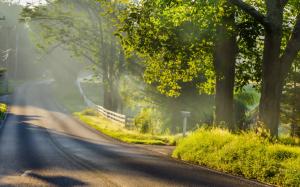 Morning landscape, road, fog, sunlight, trees wallpaper thumb