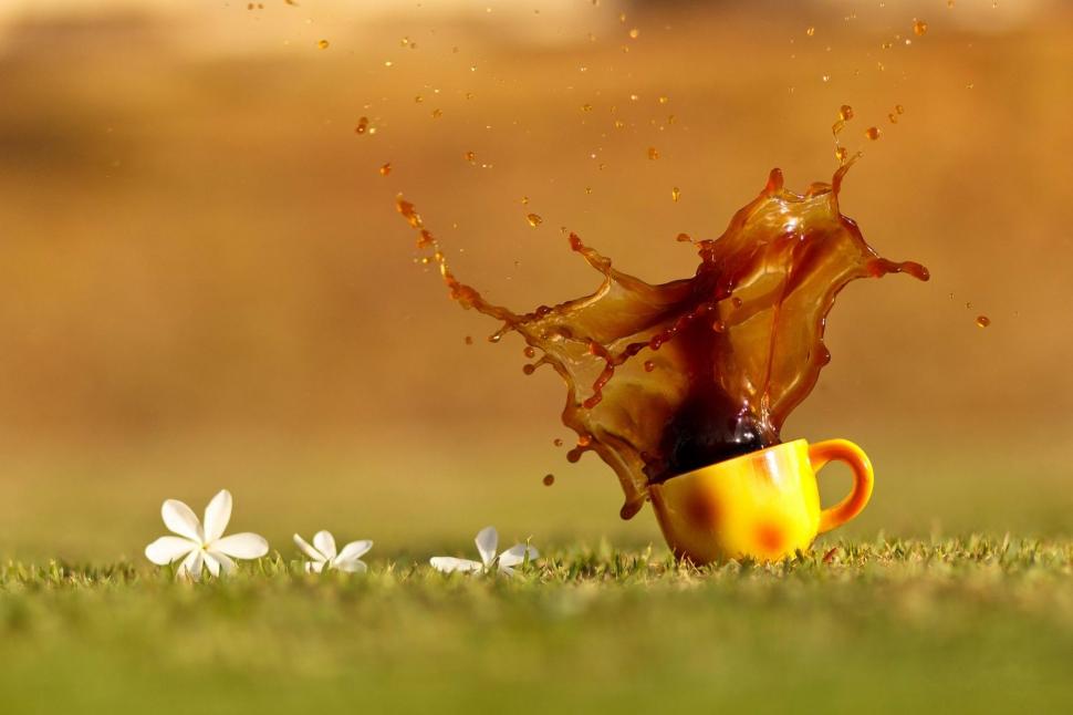 * Coffee On Flowery Meadow ... Only With You * wallpaper,flowery HD wallpaper,coffee HD wallpaper,drink HD wallpaper,food HD wallpaper,meadow HD wallpaper,3d & abstract HD wallpaper,2048x1365 wallpaper