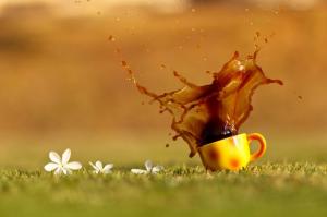 * Coffee On Flowery Meadow ... Only With You * wallpaper thumb