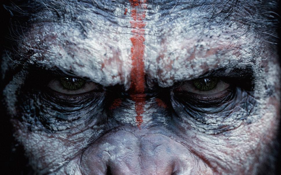 Dawn of the Planet of the Apes wallpaper,Planet of the Apes HD wallpaper,2880x1800 wallpaper