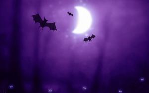 Halloween Bats HD wallpaper thumb