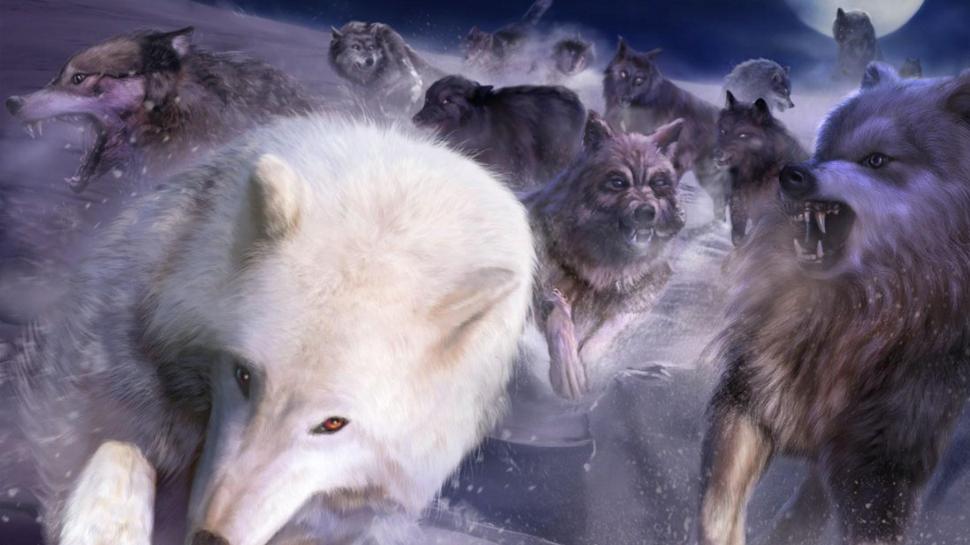 Leader Of The Pack wallpaper,dogs HD wallpaper,pack HD wallpaper,nature HD wallpaper,grey wolf HD wallpaper,wildlife HD wallpaper,black wolf HD wallpaper,animals HD wallpaper,white wolf HD wallpaper,clouds HD wallpaper,1920x1080 wallpaper