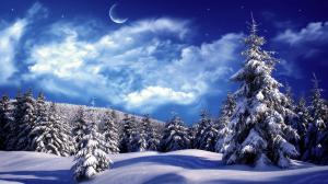 Snowy-wonderl wallpaper thumb