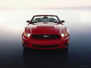 Ford Mustang 2010Related Car Wallpapers wallpaper thumb