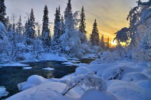 Winter River Nature Trees Landscape HD 1080p wallpaper thumb