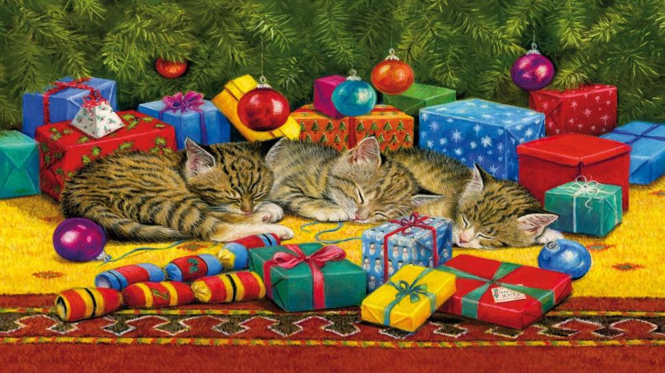 Christmas Cat Nap wallpaper,decorations HD wallpaper,presents HD wallpaper,christmas HD wallpaper,sleeping HD wallpaper,kitten HD wallpaper,tree HD wallpaper,kittens HD wallpaper,baubles HD wallpaper,1920x1080 wallpaper