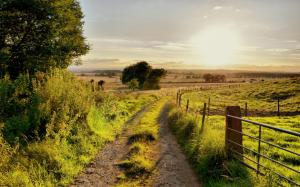 Summer nature scenery, road, trees, fence, grass, sun wallpaper thumb